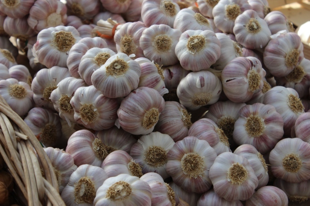 garlic in Collioure