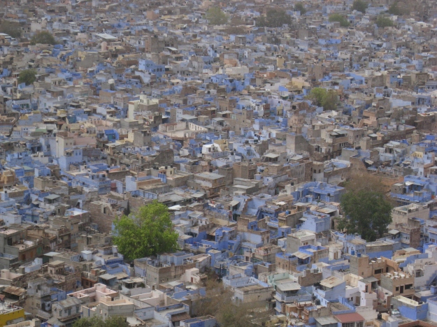 Jodhpur: the blue city