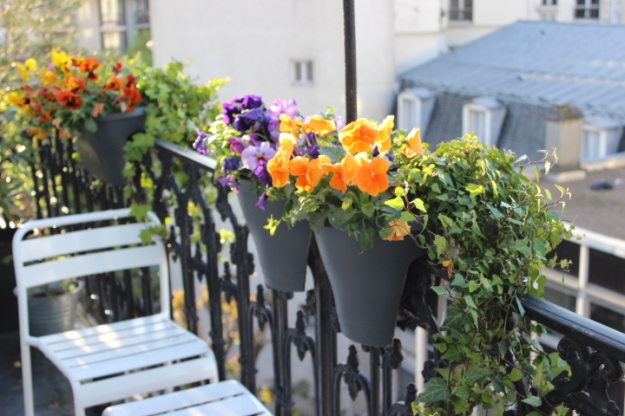 Parisian balcony with flowers